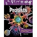 Protists: Algae, Amoebas, Plankton, and Other Protists (Class of Their Own (Library))