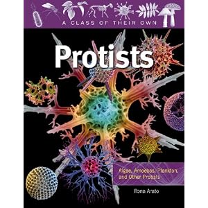 Click here to buy Protists: Algae, Amoebas, Plankton, and Other Protists (A Class of Their Own) by Rona Arato.