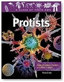 Protists: Algae, Amoebas, Plankton, and Other Protists (A Class of Their Own)