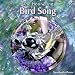 One Hour Long Bird Song