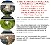 Search : The Rich Man's Make An Extra Income, Inner Game and eCommerce for Plastic Boxes Web Businesses 3 CD Power Pack