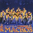 Banda Machos