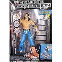 WWE Deluxe Aggression 10 MATT HARDY Wrestling Figure