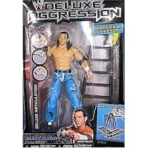 WWE Deluxe Aggression 10 MATT HARDY Wrestling Figure