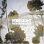 FORESIGHT