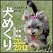 2012年 カミン犬めくり(犬と出会える365日) スタンド付パッケージ入り