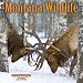 Montana Wildlife 2010 Calendar