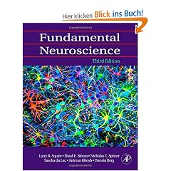 Fundamental Neuroscience