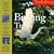 Audubon Birding Trails Calendar 2009 (Wall Calendars)