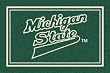 Michigan State Spartans 3' 10" x 5' 4" Team Spirit Area Rug