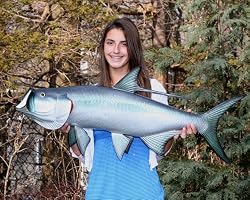 Giant Taxidermy Quality Tarpon 40" Game Fish Wall Mount
