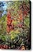 Virginia Creeper Canvas Print / Canvas Art - Artist Teresa Mucha