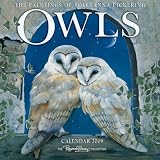 Kitchen & Housewares : Owls by Pollyanna Pickering 2009 Calendar