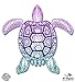 Sea Turtle Beautiful Color - 3