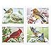 Songbirds in Snow Forever First Class Postage Stamps (20 Stamps) - United States Postal Service