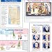 THE CONSTITUTION TEACHING POSTER