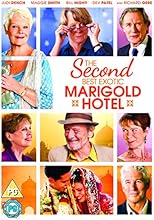 The Second Best Exotic Marigold Hotel [DVD] [2015]