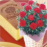 ���٤�ƥ����͡���������եȢ䥫���͡�...