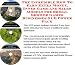 Book The Incredible How To Earn Extra Money, Inner Game and Sales Models for Bridal Shower Games Businesses 3 CD Power Pack