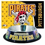 MLB Pittsburgh Pirates Pet Bowl and Mat Combo