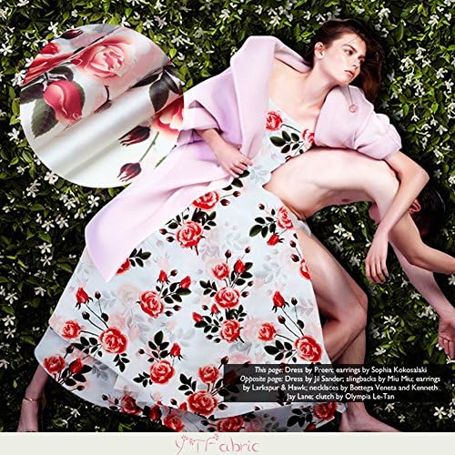 Printed Silk Organza Fabric with Rose Pattern, Fashion Floral Pure Silk Fabric By The Yard