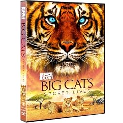 Big Cats: Secret Lives