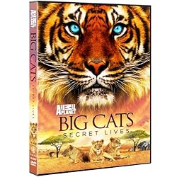 Big Cats: Secret Lives