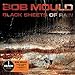 Bob Mould, BLACK SHEETS OF RAIN [12 inch Analog], 発売中