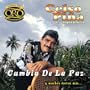 Cumbia de La Paz y Muchos Exitos Mas: Linea de Oro
