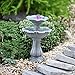 Fairy Garden Miniature Double Bird Bath Pick - 3 Inches