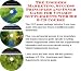 Book The Insider's Marketing, Success Principles and Inner Game for Vitamin Supplements Web Biz 3 CD Course