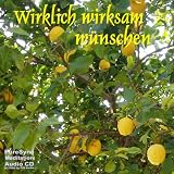 Wirklich wirksam wünschen Wie Sie Geld, Liebe, Gesundheit & Erfolg anziehen! Top Secret: So nutzen Sie gezielt Ihre innere Kraft der Anziehung! Bestellen beim Kosmos? HIER ist die Anleitung!