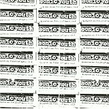 Screaming Fields Of Sonic Lovepar Sonic Youth