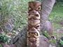 DOUBLE HEADED MASK 40" - ACACIA WOOD - LOVE & PROSPERITY