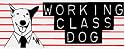 Rick Springfield - Working Class Dog - AUTHENTIC RETRO 80'S - Sticker / Decal - LIMITED QUANTITY!