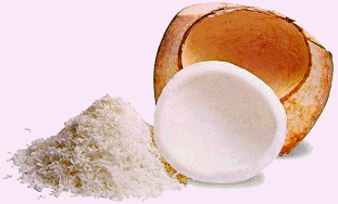 coconut grove sugar by faerie