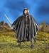 The Lord Of The Rings Fellowship of the Ring - Super Poseable Strider