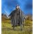 The Lord Of The Rings Fellowship of the Ring - Super Poseable Strider