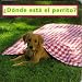 �D�nde est� el perrito? (Photoflaps)
