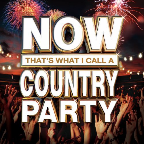VA-Now Thats What I Call A Country Party-CD-FLAC-2013-BOCKSCAR Download