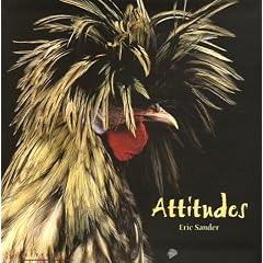 Attitudes