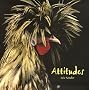 Attitudes
