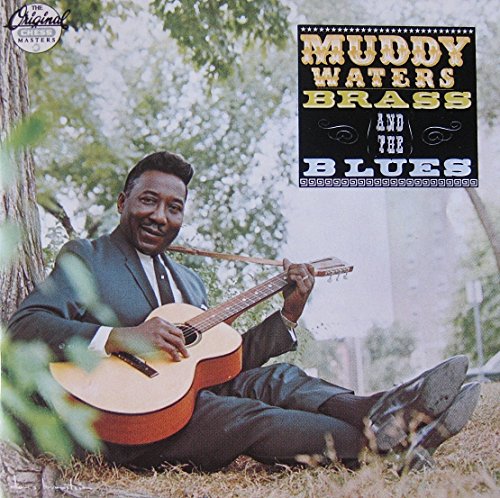 Muddy Waters - Black Night (Hornless alternate mix) Lyrics - Zortam Music
