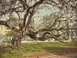 Magnolia Cemetery, Charleston, South Carolina, ca. 1900 - Exceptional Print of a Vintage Photochrom Image from the Library of Congress Collection