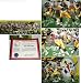 2005 Pittsburgh Steelers Super Bowl XL Championship Team Autographed Panoramic Framed Photo - ONE SIZE