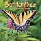 Butterflies, Hummingbirds & Wildflowers in 2012 calendars !