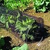 Gardman Netting Cloche Grow Tunnel