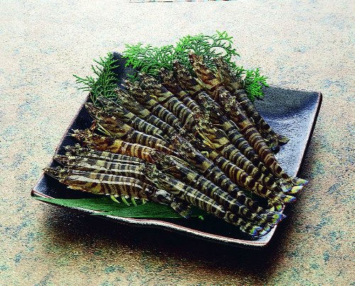 活車海老　１尾　約25ｇ
