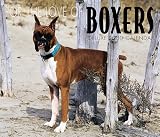 For the Love of Boxers