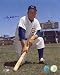 Don Zimmer Chicago Cubs Autographed 8x10 Photograph